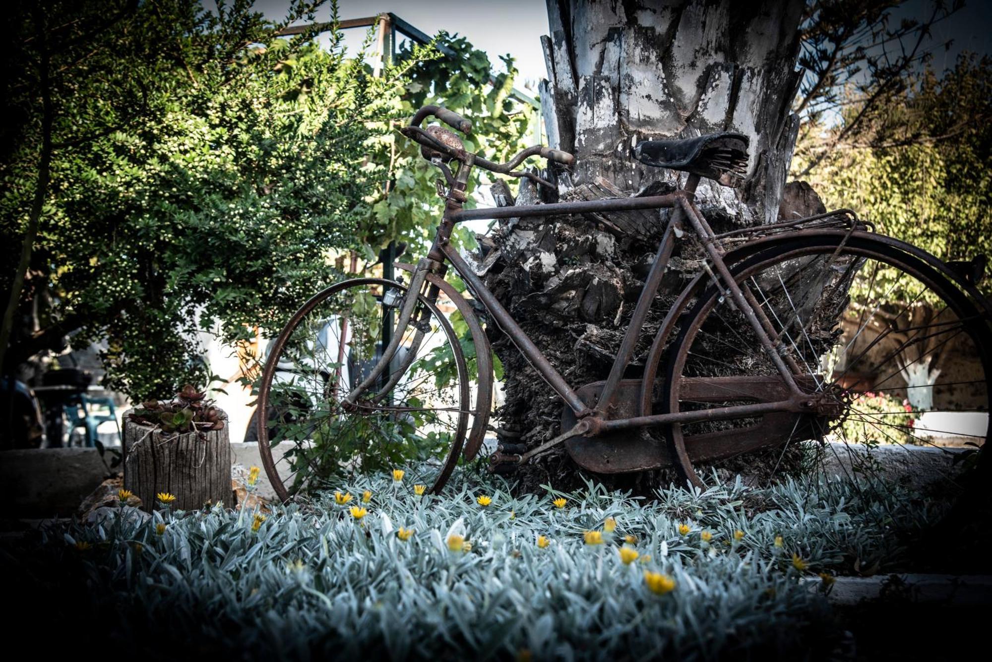 Nikos Studios Kéfalos Exteriör bild